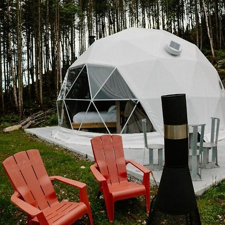 Les Diamants De L'Eternel Apartment Saint-David-de-Falardeau Luaran gambar
