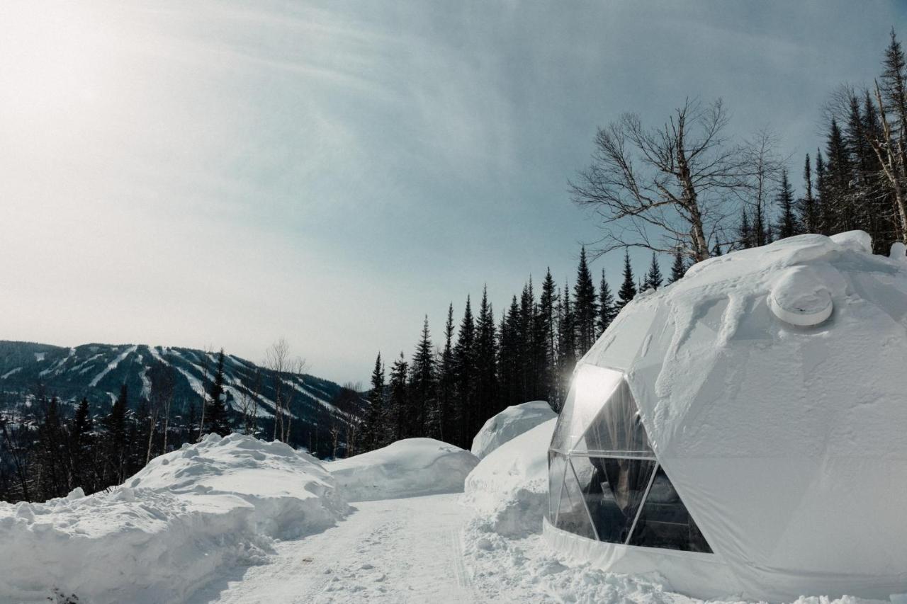 Les Diamants De L'Eternel Apartment Saint-David-de-Falardeau Luaran gambar